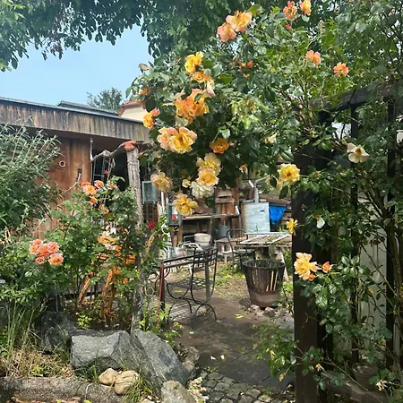 Martha Séjour chez l'habitant *